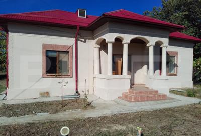 Casa renovata in Piscu Sadovei, 70 mp utili, 2200 mp curte - 2