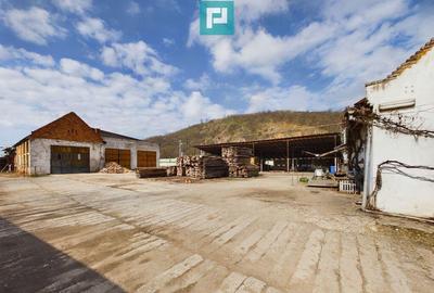 Fabrica de prelucrare a lemnului ?i palului - 28