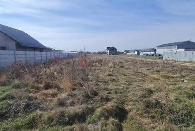 Teren Construcții intravilan de 2500 mp, în Clinceni - 7