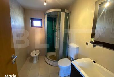 Casă cu 4 camere cu Teren 320 Mp în Dumbrăvița - 9