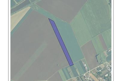 Teren în Dascălu - 3