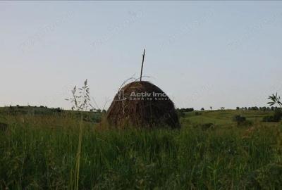 Casă cu 2 camere cu Teren 609 Mp în Uileacu de Beiuș