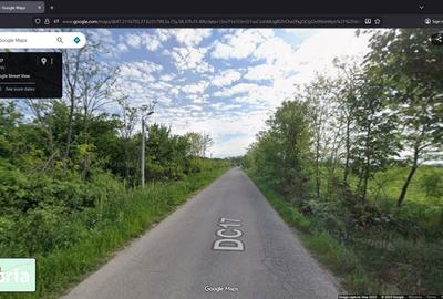Teren de 7200 mp, în Aroneanu - 4