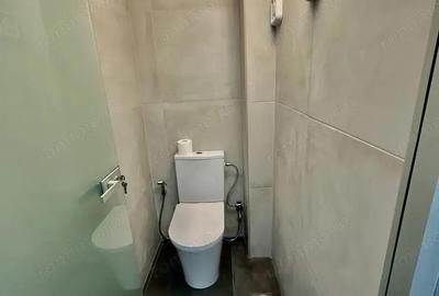 Spatiu comercial de inchiriat in zona Drumul Taberei - 3