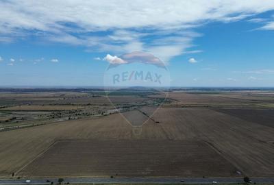 Teren agricol extravilan de 27500 mp, în Tișița - 3