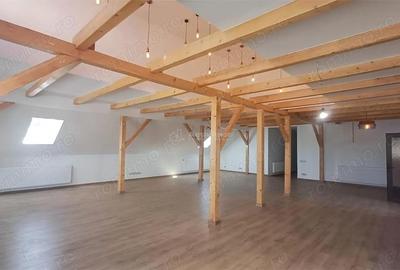 Spațiu comercial, de 405 mp, în Ultracentral - 4