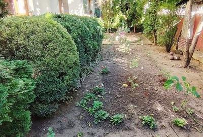 Apartament rustic, deosebit de 98 mp,  cu gradina, in Andrei Muresanu - 19