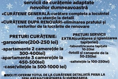 Servicii curatenie profesionala! - 2