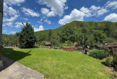Reco Apartament  Padurea Neagra - 10