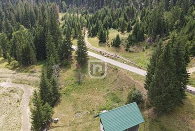 Teren Voronet 4700mp INTRAVILAN | Gura Humorului | Bucovina - 5