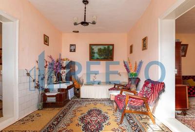 Casa si teren 3365mp Sascut - 1