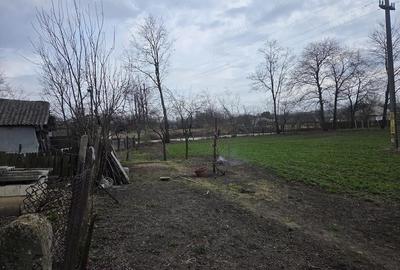 Casă cu Teren 2000 Mp în Miorcani - 2