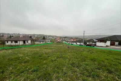 Teren Construcții intravilan de 3996 mp, în Dealuri Oradea - 3