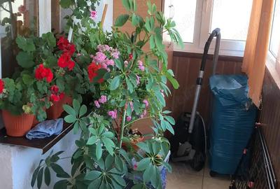 Proprietar vand Apartament 2 camere - 6