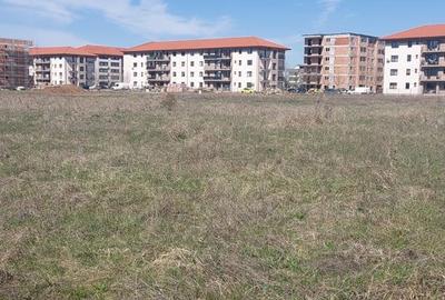 Teren de 5000 mp, în Dobroești - 2
