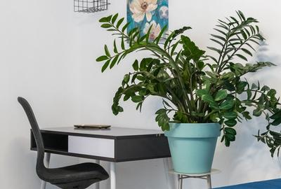 Apartament cu 2 camere decomandat, mobilat în Vest - 4