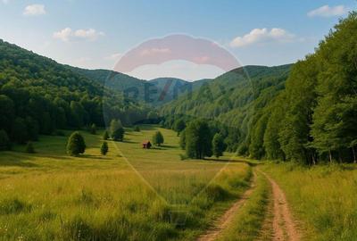 COMISION 0% Teren 6,572 mp/Cur?i construc?ii/ Intravilan - 1