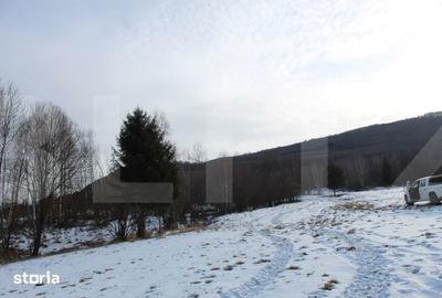 Teren de 11600 mp, în Central - 3