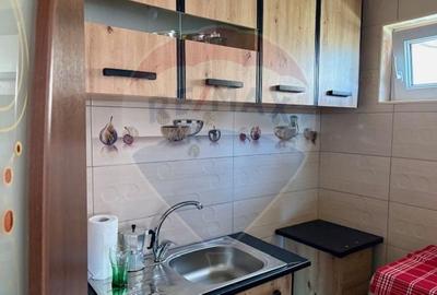 Casă individuală cu 5 camere cu Teren 300 Mp în Ocna Șugatag - 7