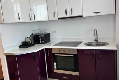 Garsonieră decomandată, mobilată în Copou - 3