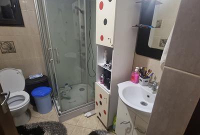 Casa P+M, 140 mp, zona Brestei - 25