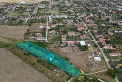Teren agricol intravilan de 7900 mp, în Frumușeni - 2