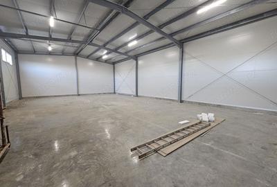 Spațiu comercial, de 1,000 mp, în Lugoj - 7