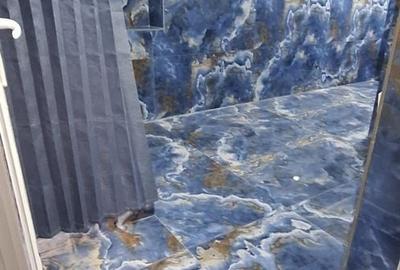 Casă individuală cu 7 camere cu Canalizare în P-ța Operei - 15