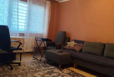 Apartament cu 2 camere semidecomandat în Craiovița Nouă - 1