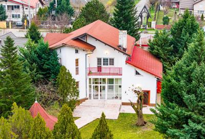 Vila familiei unite, pentru momente împreună, Snagov - Ciofliceni - 1