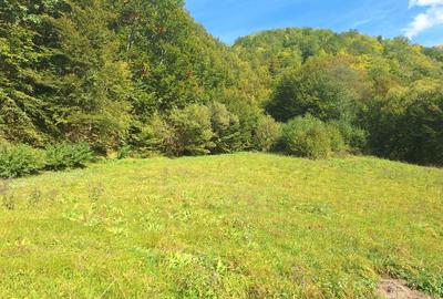 Spațiu comercial, în Măguri - 2