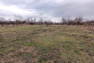 Teren Lacul Snagov Manastirea Snagov - 4