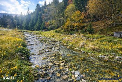 Spațiu comercial, în Central - 8