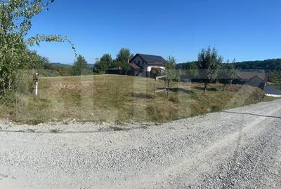 Teren de vanzare 925 mp, zona Valea Jelnei - 2