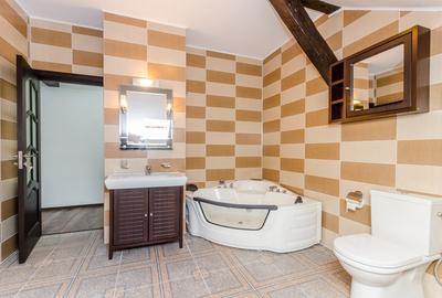 Apartament central, 160 mp, curte cu loc de barbeque, terasa - 11