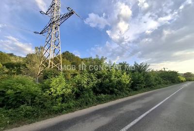 Teren spectaculos cu padure, livada si priveliste panoramica in Soimari PH - 5