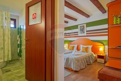 Casa / Vila de vanzare in Rasnov, afacere-Pensiune clasificata - 29