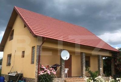 Vila 5 camere achizitie ideala pentru parinti sau familie - 3