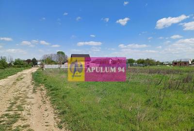 Loc de casa 520 mp, in Sabareni, langa Bucure?ti - 3