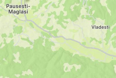 Teren de 8000 mp, în Vlădesti - 11
