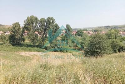 Teren intravilan, 3000 mp, în Corușu! - 5
