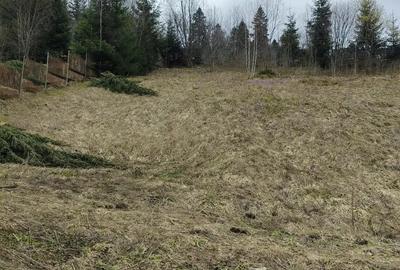 Teren de 1000 mp, în Predeal - 2