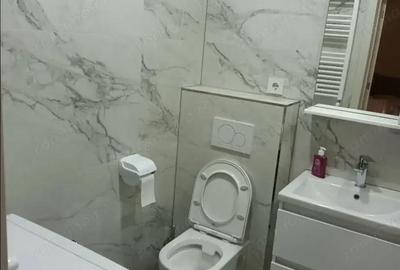 Garsonieră în Astra - 3