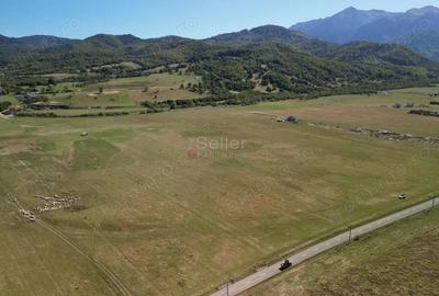 Teren extravilan Rasnov - 14