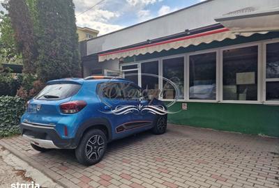 Spațiu comercial, de 50 mp, în Zorilor