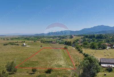 Teren Bran -Sohodol, Strada La mesteceni, 6900mp - 8