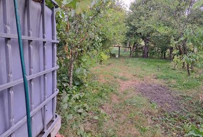 Casă cu 3 camere în Luncșoara - 8