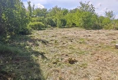 Teren de 2000 mp, în Crasna - 3