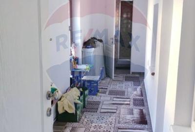 Casa / Vila cu 4 camere de vanzare in zona Brestei - 5