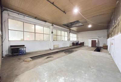 Hala 120 mp, inaltime 5m, parcare, Criseni - 2